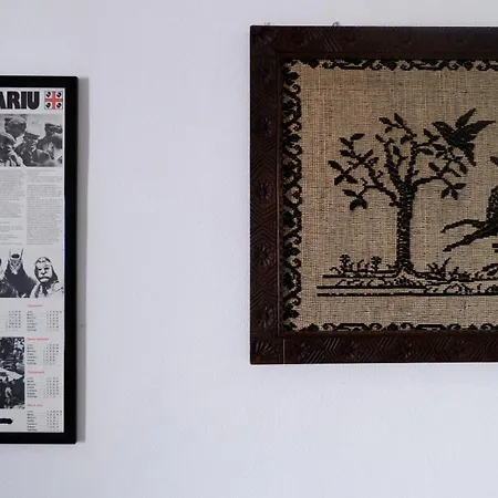 Affittacamere Agora 테르테니아