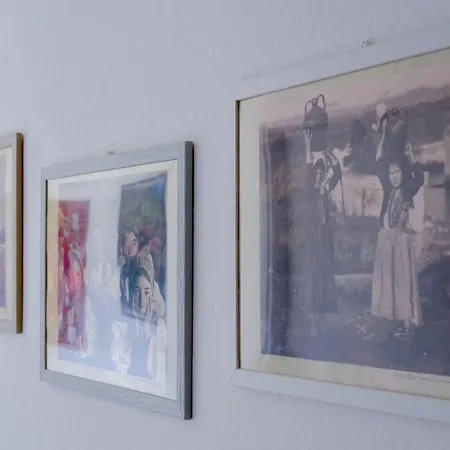 Affittacamere Agora 테르테니아